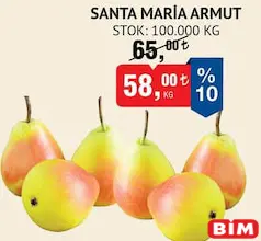 SANTA MARİA ARMUT KG SANTA MARİA ARMUT KG